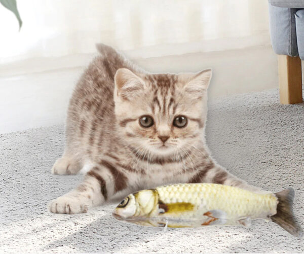 Peixe Brinquedo Gato - Image 2