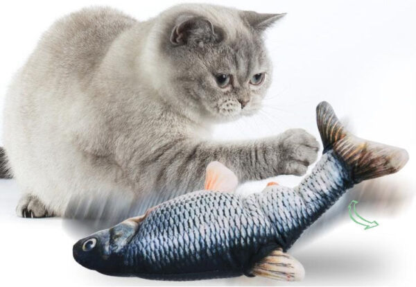 Peixe Brinquedo Gato